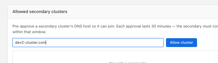 entering a secondary DNS host in the allow list
